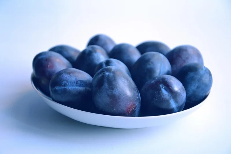 Nutrition et hydratation